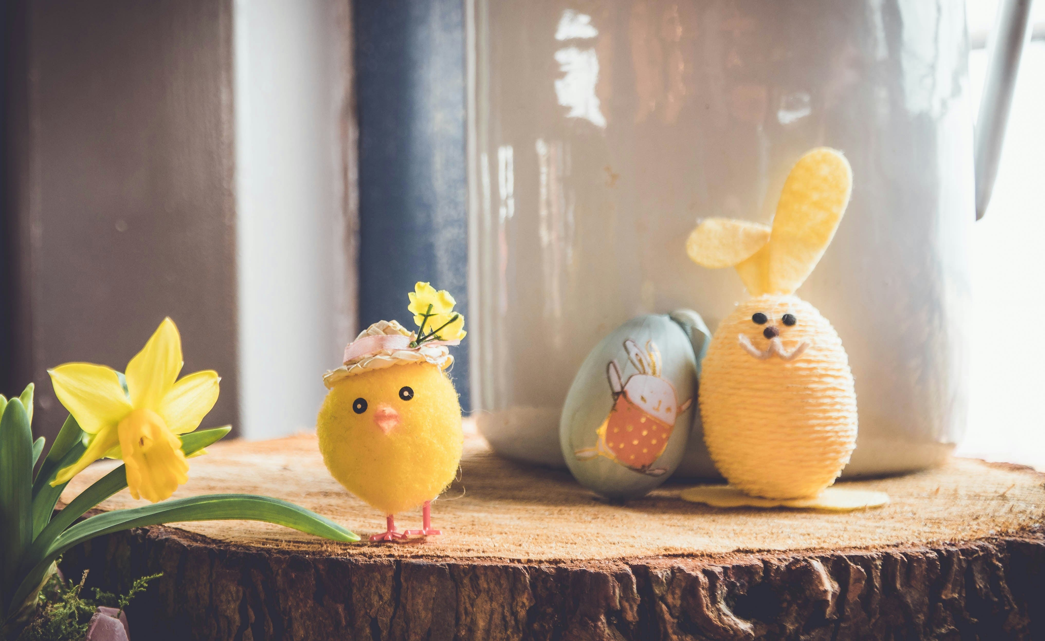 DIY Easter Gift Basket Ideas: Crafting the Perfect Kiwi Easter Surprise