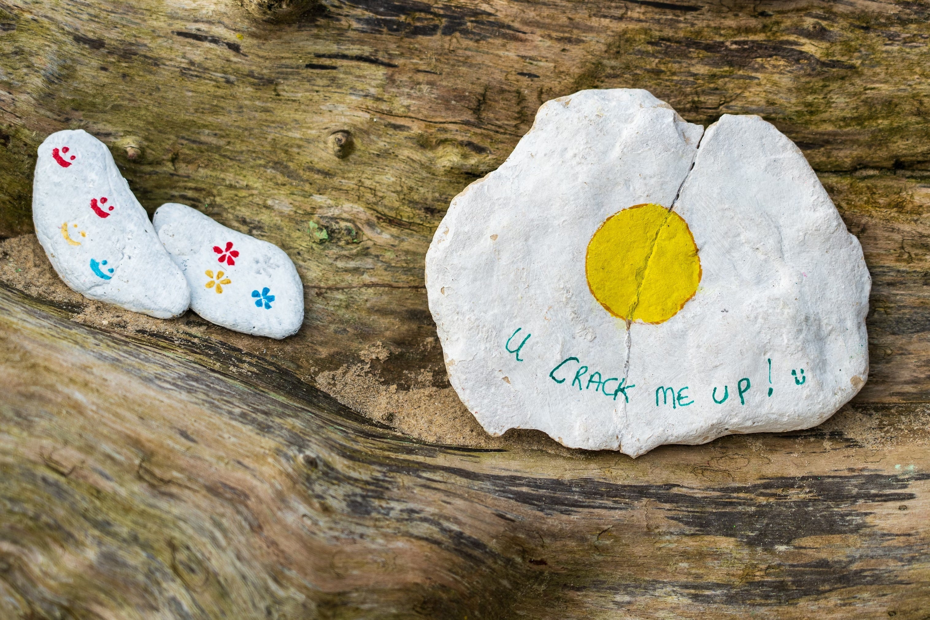 Hilarious Gift-Giving Ideas for Every Kiwi: Because No One Wants a Boring Present
